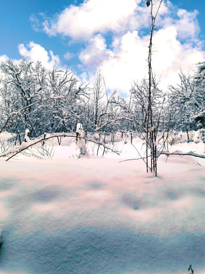 Cottage Tsaghkadzor Dış mekan fotoğraf